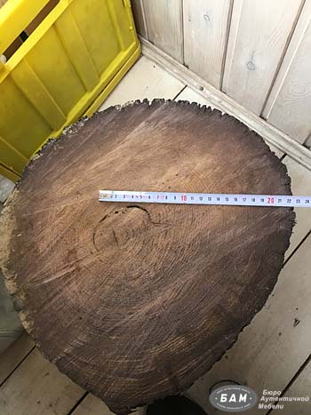 Заготовка древесины мореного дуба