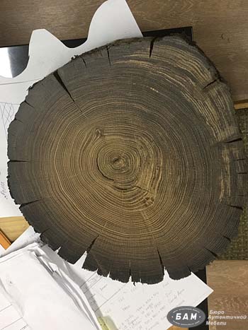Структура древесины мореного дуба