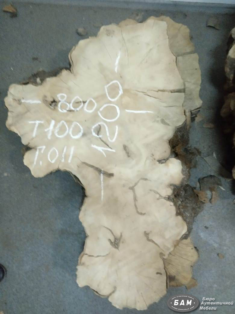 Торцевой спил граба Г-011 - продажа со склада БАМ